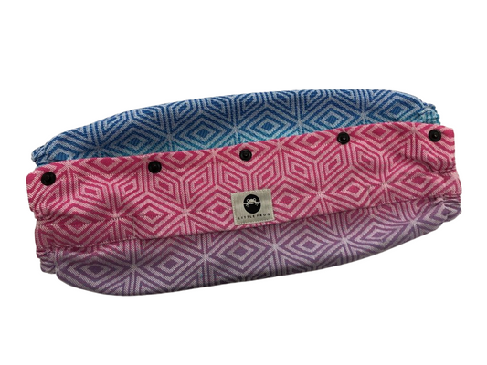 Little Frog Carrier Case