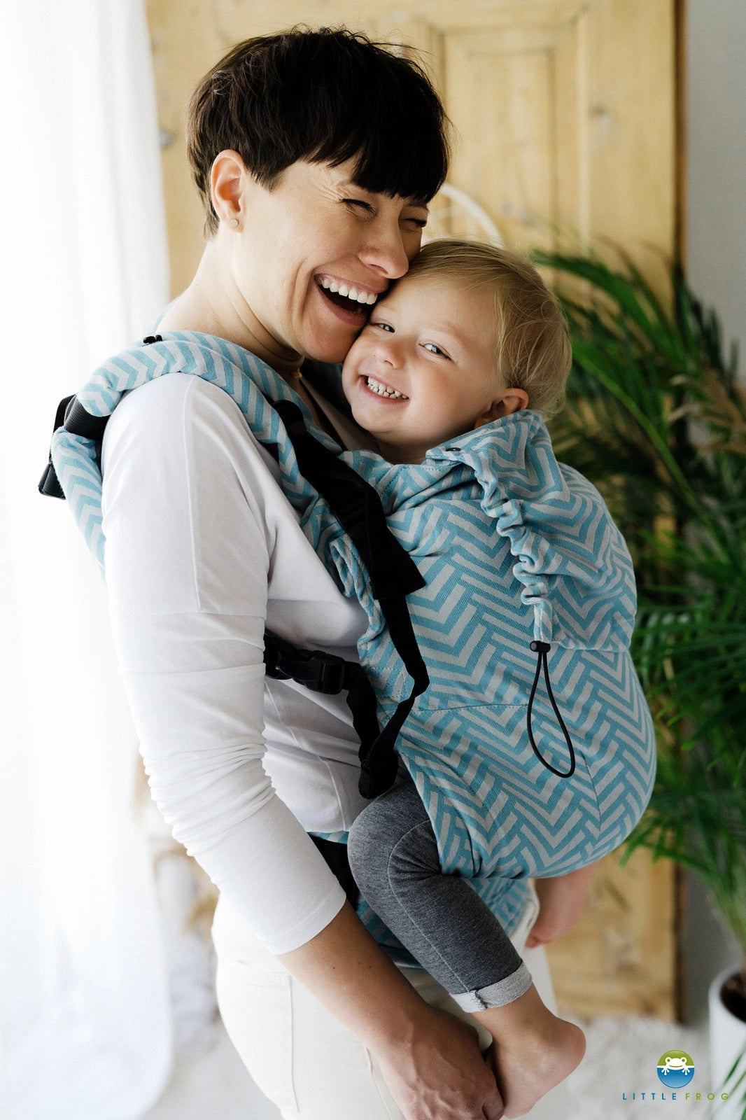 Little Frog Preschooler Carrier - Horizon Miles