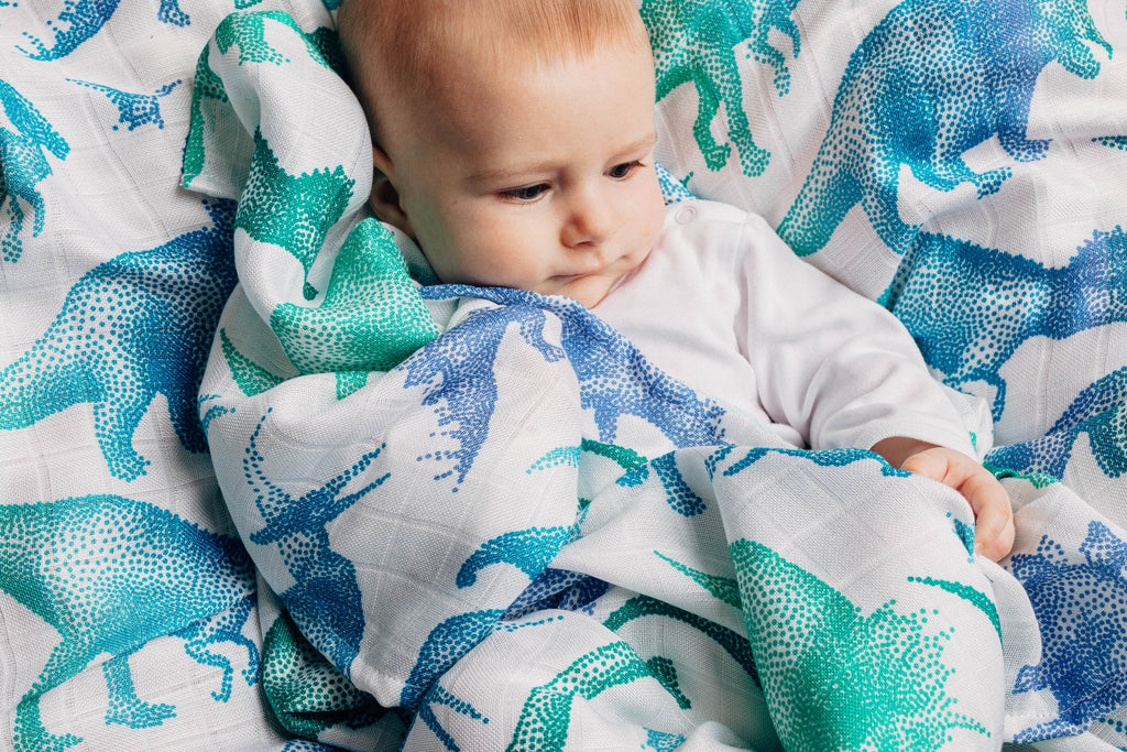 LennyLamb Swaddle Blanket - Jurassic Park White