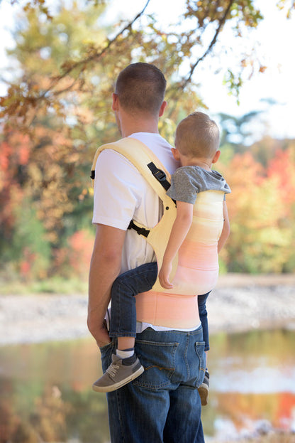 Chimparoo Drool Pads